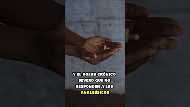 Morfina Farmacológia #enfermeria #medicina #dolor смотреть онлайн