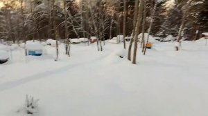 7 января. #Зимовка пчёл на воле