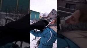 Вася ворон)))