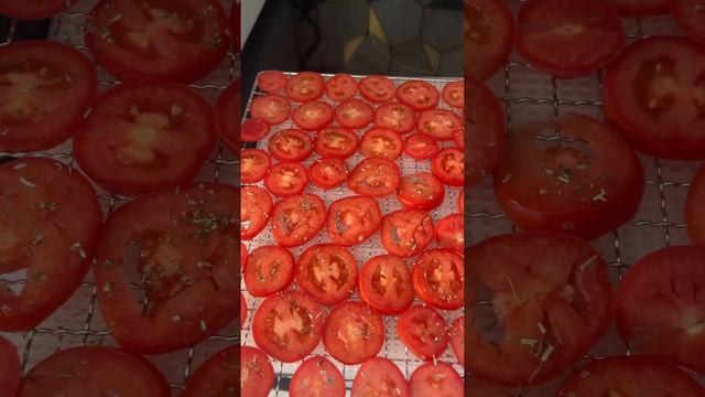 СУШЕНЫЕ ПОМИДОРЫ #сушеныепомидоры #вкусныерецепты #вкусныепомидоры #дегидратор #сушеныеовощи