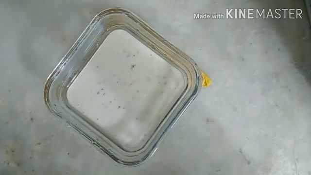 chicken lasagna without oven || without microwave ||quick and easy recipe