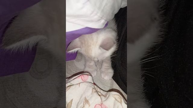 6 декабря 2023 г.