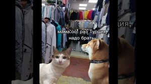 типы людей на рынке 😼