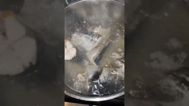 5 минут и  Готово ✅ Отварная скумбрия на ужин #ужин #скумбрия #рыбарецепты