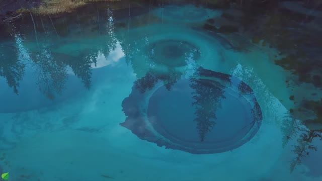 Нежная музыка успокаивает нервную систему и радует душу 🌿 Целебная музыка для сердца и крови#11