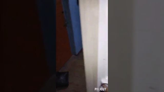 Полностью переделали электропроводку санузла в госучреждении.