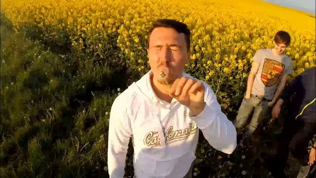 Путешествие по Франции смотреть онлайн