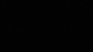 Три кота РИТП (RYTP) / Xардбасс/ 12+