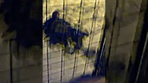 Парень дерется с пакетом!