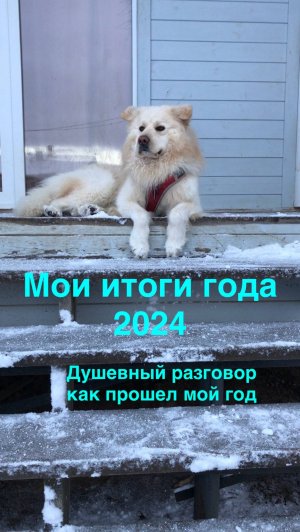 Мои итоги 2024 года. Душевный разговор, как прошел мой год