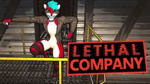 Бутылка или Друг？Lethal Company