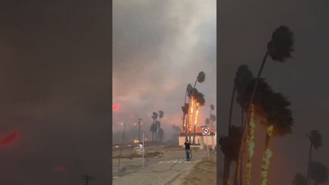 Горящие пальмы Масштабный лесной пожар на западе округа Лос-Анджелес (Калифорния, США, 7-8.01.2025)