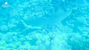 египет декабрь 2024