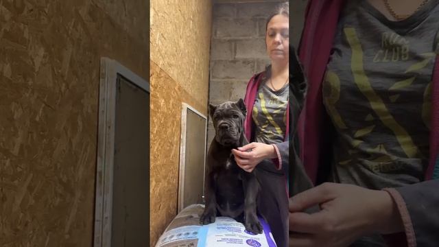 Серая девочка 25 мес