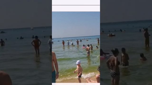 Витязево сегодня 24.08.24, зеленая вода все море в Тине.