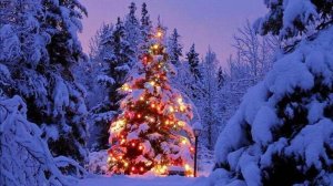 Tombe La Neige