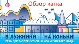 Каток Лужники обзор