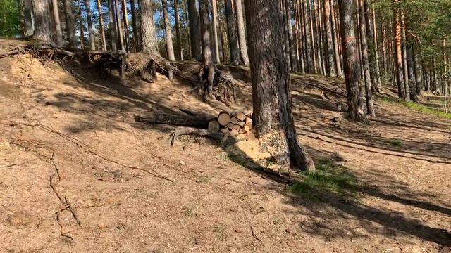 Шок 🤯 место просто супер смотреть онлайн