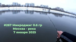 #267 Микроджиг 0,6 гр на Москва-реке 7 января 2025