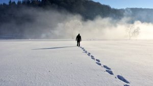 ,птичка , читает автор Павлова О.