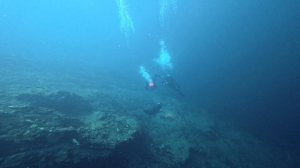 Встреча с байкальской нерпой