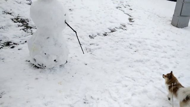 Чубакка и снеговик смотреть онлайн