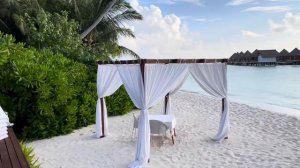 Mercure Maldives Kooddoo Resort all inclusive ￼Beach villa 🛖Overvater villa  snorkeling with shark