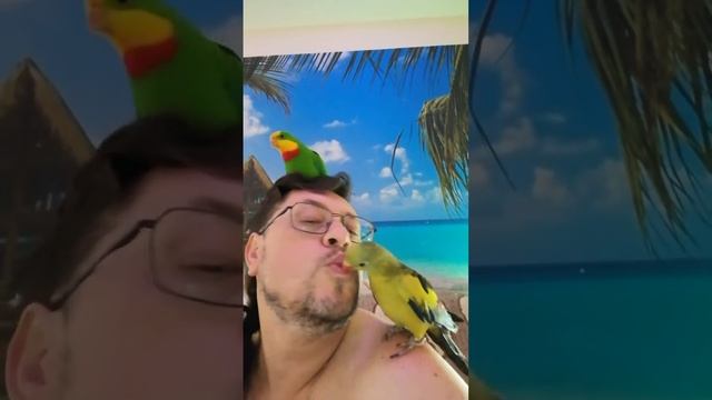 Зацеловали )))