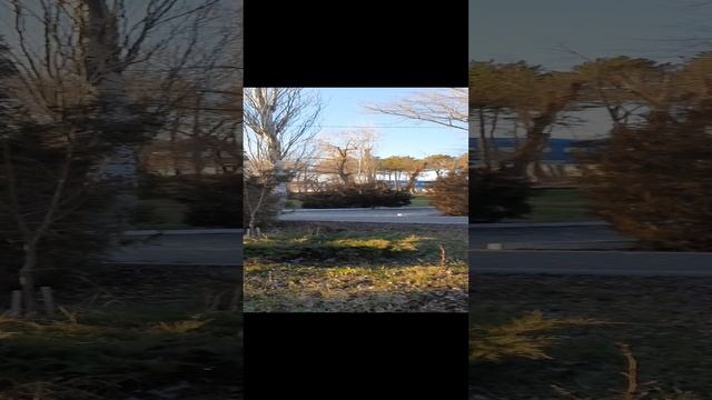 1000178725.mp4