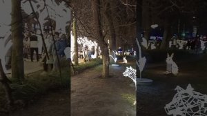 КРАСНОДАР НОВОГОДНИЙ. 2025