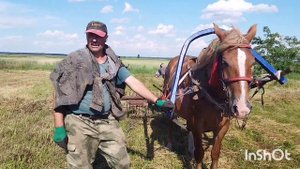 ЛОШАДИ В РАБОТЕ🐎СГРЕБАЮ СЕНО  КОННЫМИ ГРАБЛЯМИ🐎СЕНОКОС 2024☘️🌾🌿☀️