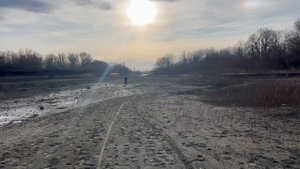 Река Кубань сегодня 8.01.2025 погода отличная 🐟 а клева нет