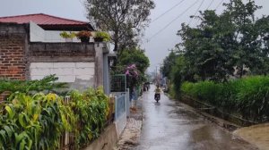 Сверхсильный дождь в сельской Индонезии. Снимите стресс и лучше спите под звуки сильного дождя