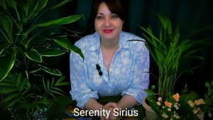 ПОСЛАНИЕ ДРАКОНОВ 🌈расклад на ближайшие будущее🌞 совет Высших Сил⚡ таро онлайн гадание