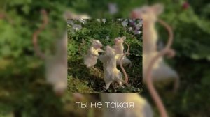 ВЕСЕННИЙ ПЛЕЙЛИСТ // speed up