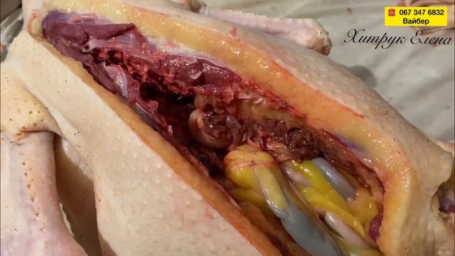 Самый КРУПНЫЙ ГУСЬ на территории Украины смотреть онлайн