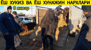 ЁШ ХУКИЗ ВА ЁШ ХУНАЖИН НАРХЛАРИ ХОРАЗМ БОГОТ МОЛ БОЗОРИ 08.01.2025Г