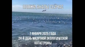 Пляжи Анапы сейчас, 7 января 2025 года, 24-й день экологической катастрофы