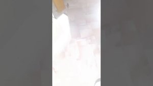 чем буду делать летом и записывать ролики