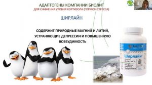 Ширлайн для снижения уровня кортизола. Отрывок из лекции Н. В. Коротченко «Стресс»