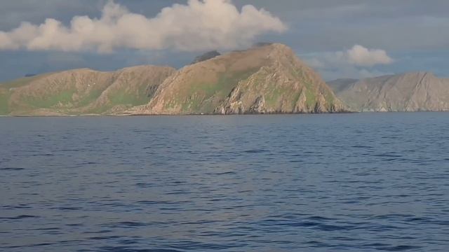 ТРЭШ НА ДЕТСКОЙ ПЛОЩАДКЕ. ОЛЬГА УРАЛОЧКА LIVE. ОБЗОР. смотреть онлайн