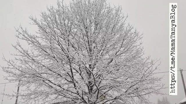 Снегопад 2025 смотреть онлайн