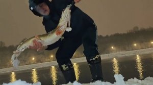 Рыбалка Москва река, зимний спиннинг 1.1.2025