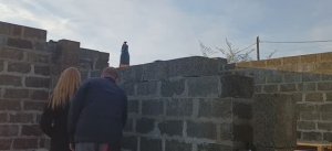 Строим дом из арболита.
Выпуск №15