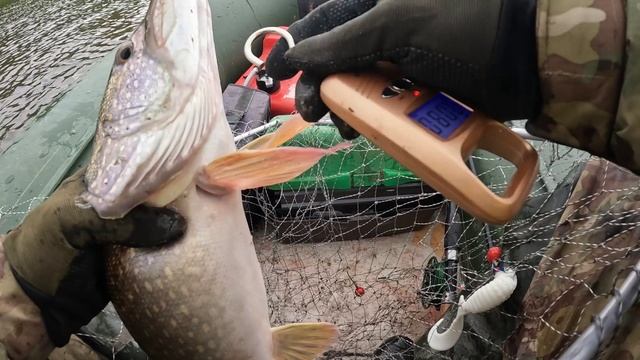🎣ЗАЧЕТ🎣