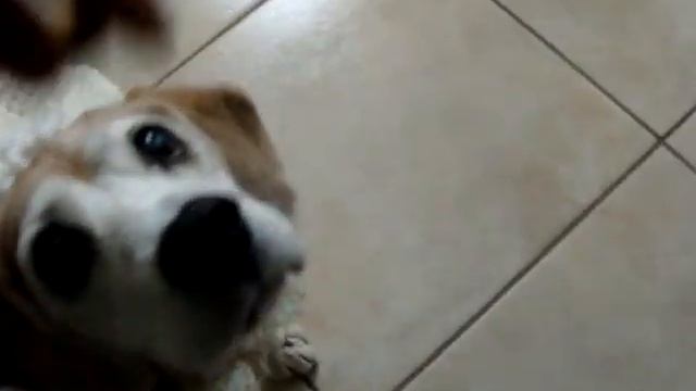 THIRA- manta nova tricot смотреть онлайн