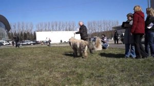 18.04.2015 класс юниоров Горжусь Тобой Варгун