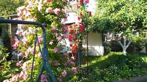 НА_ДАЧЕ_МОЙ_ДЕНЬ_РОЖДЕНИЯ_И_РО5.mp4