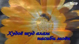 Караоке точики Д.Назаров (бихонум байти бе поён)