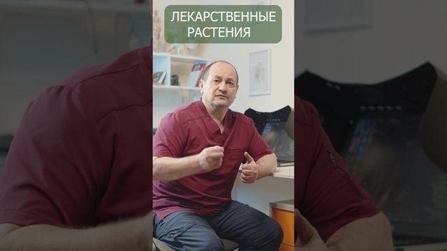 Почему не нужно лечиться растениями из других регионов? Ваши болезни, ваш регион, ваши лекарства